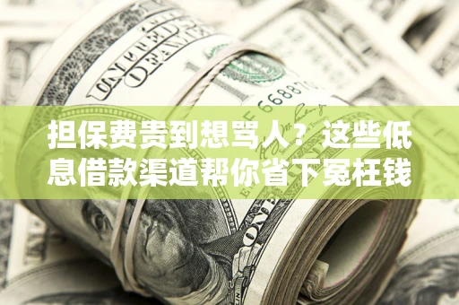 济南担保费贵到想骂人？这些低息借款渠道帮你省下冤枉钱